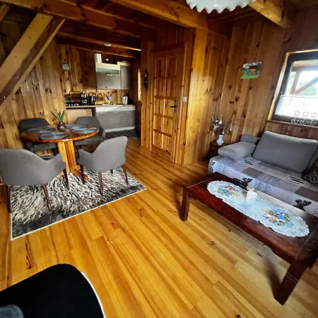 Vakantiehuis U Karkonosza Kamienna Gora